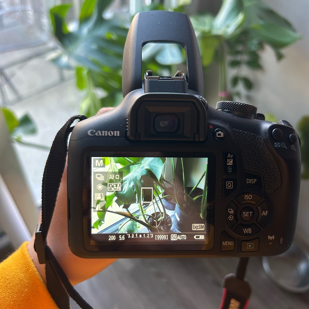 Canon rebel T7